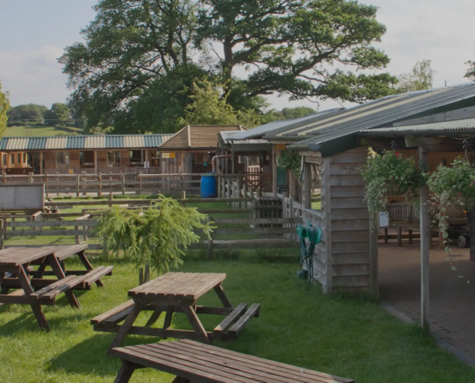Small Breeds Farm Park Owl Centre Kington, Herefordshire