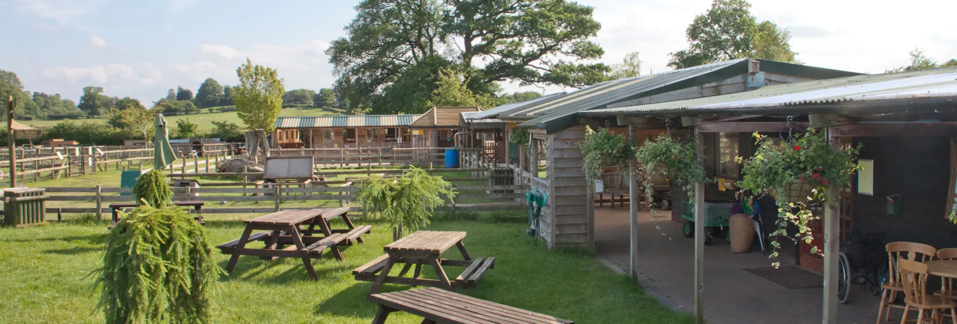 Small Breeds Farm Park Owl Centre Kington, Herefordshire