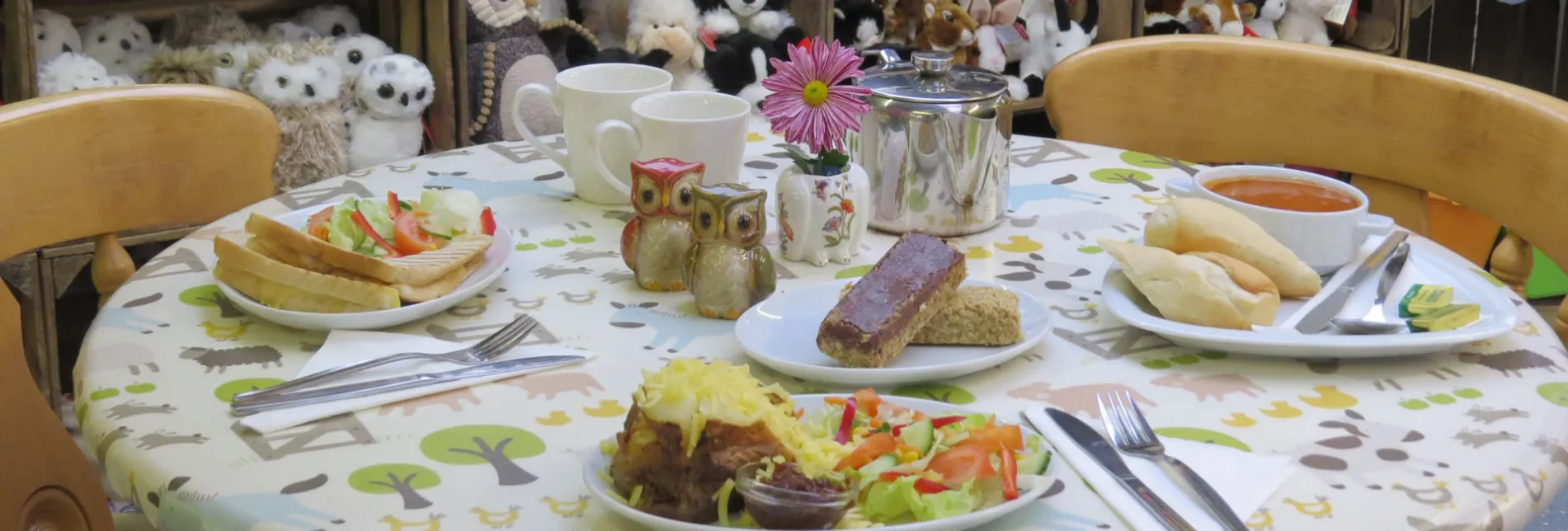 Small Breeds Farm Park Owl Centre Kington, Herefordshire