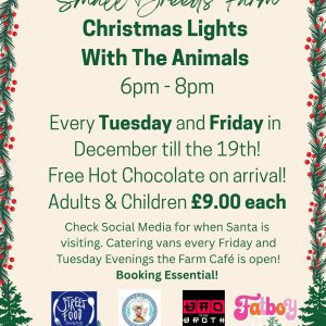 Christmas Lights With The Animals!